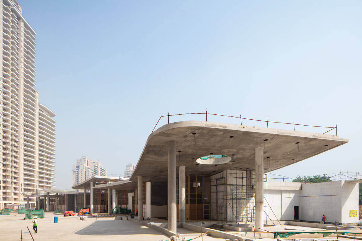 DLF Camellias Landscape